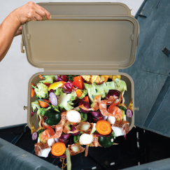 food waste dumping