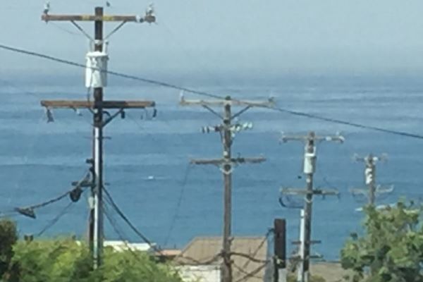 Utility poles in view