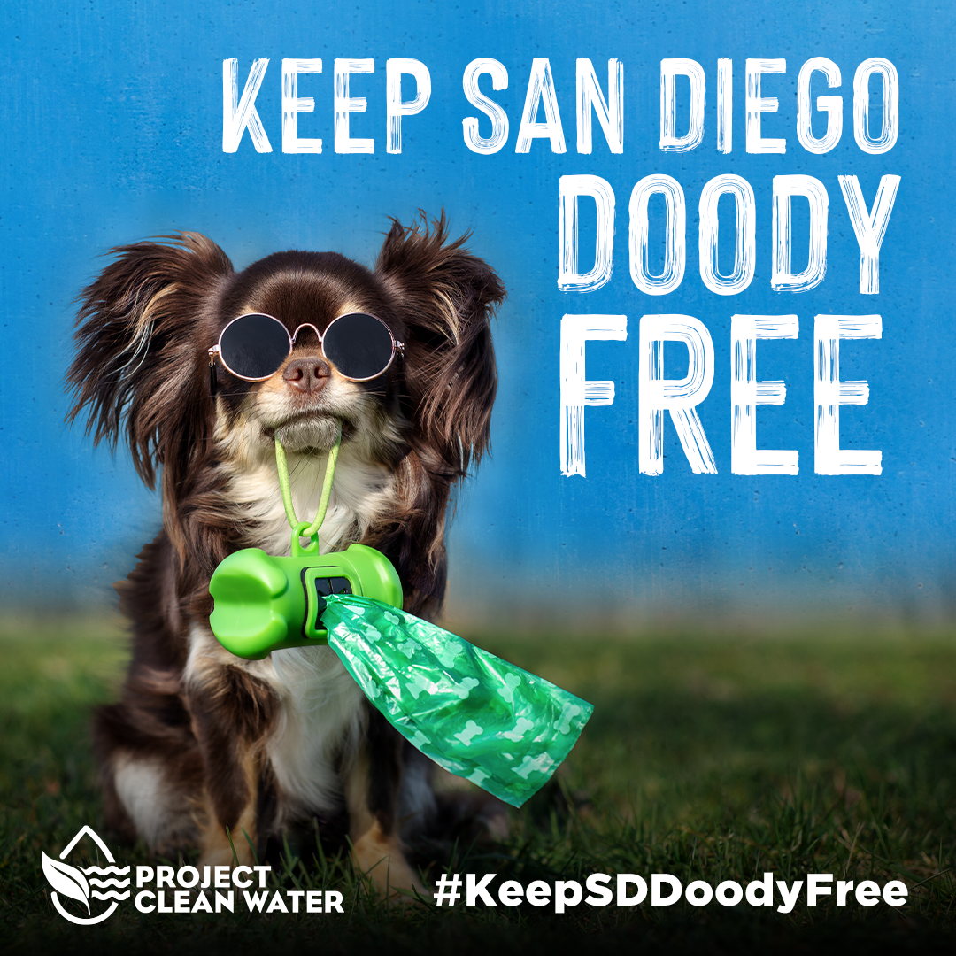 Keep-SD-Doody-Free
