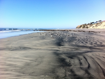 Del Mar Beach 